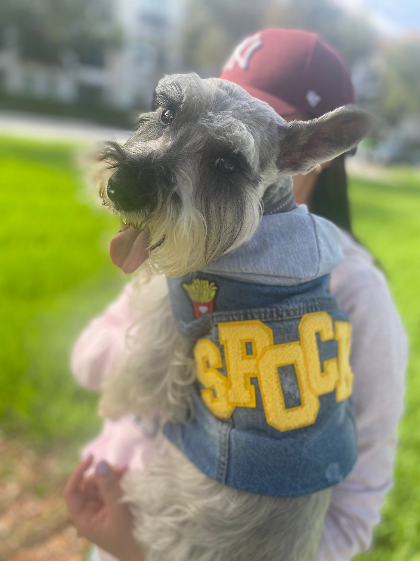 Jean Jacket for Dogs (Custom Name, by Jojo)